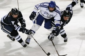 爱游戏app下载-TL国际赛经验持续累积，ti国际邀请赛奖金