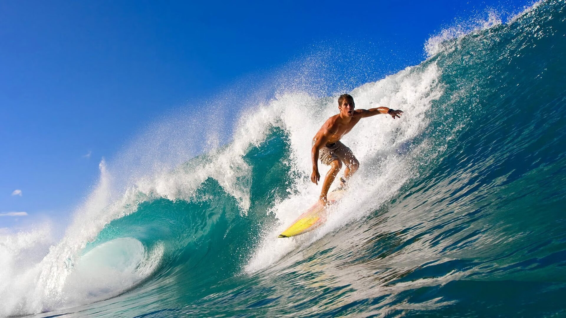 “卡路里运动场”等趣味体育挑战赛在全民健身日当天举行,吸引众多参与者